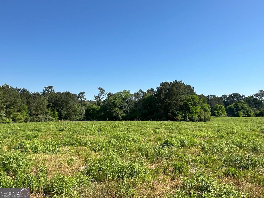 Photo of 2 120 Popham Road, Taylorsville, GA 30178 (MLS # 10790050)