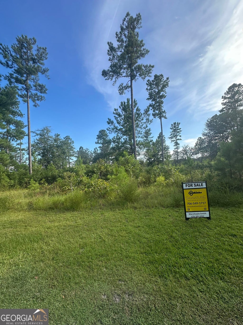 Photo of 0 Big Horse Drive, Waynesville, GA 31566 (MLS # 10834792)