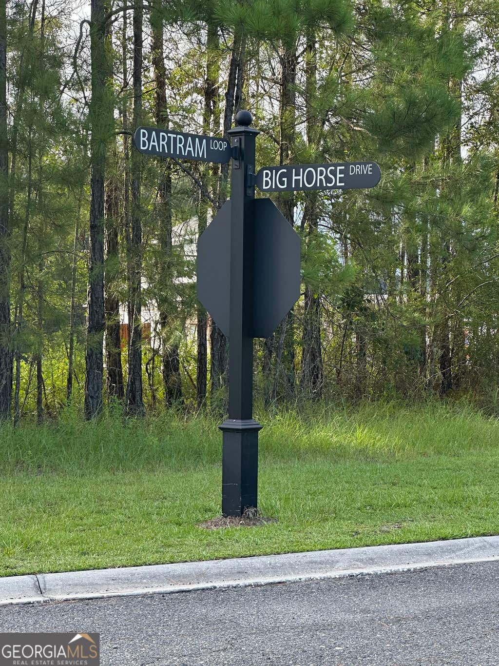 Photo of 0 Big Horse Drive, Waynesville, GA 31566 (MLS # 10834792)