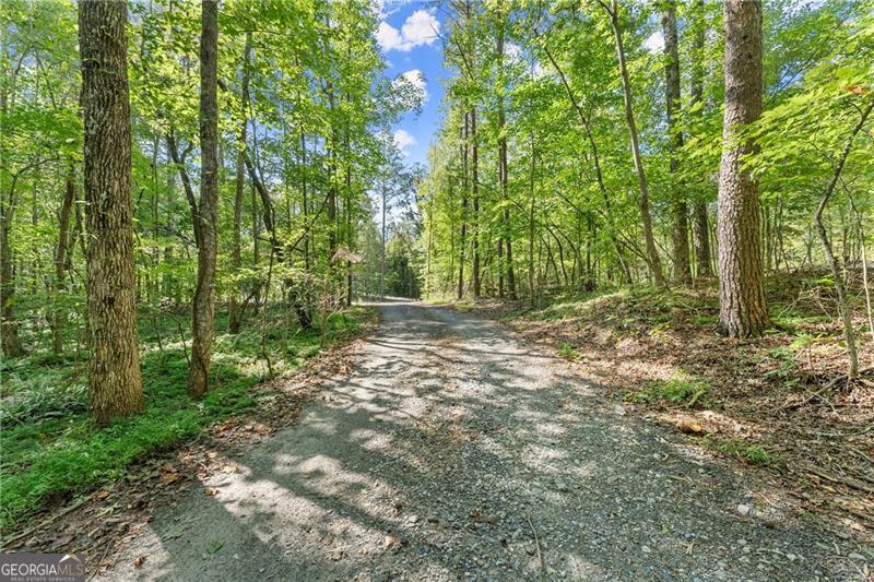 Tranquil Creekfront Retreat in Dawson County Nestled along the serene banks of Pigeon Creek, this beautifully wooded 11.99-acre parcel offers the perfect blend of natural beauty and rural charm. Located in peaceful Dawsonville, this property provides endless possibilities-whether you envision building your dream home, creating a cozy weekend getaway, or simply enjoying a private escape surrounded by nature. With nearly 12 acres of mature trees and picturesque creek frontage, you'll find the ideal setting to relax, unwind, and embrace the quiet life in the country. Discover the potential of this unique property and make it your own slice of paradise in Dawson County.