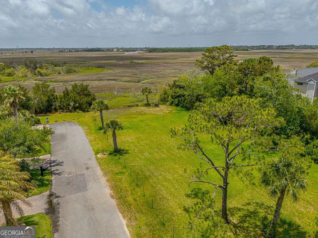 Photo of 107 Julienton Island Drive, Brunswick, GA 31520 (MLS # 10772329)