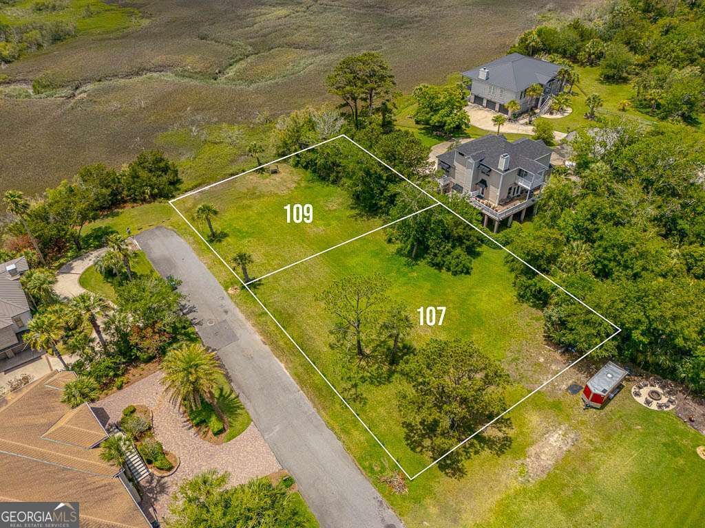 Photo of 107 Julienton Island Drive, Brunswick, GA 31520 (MLS # 10772329)