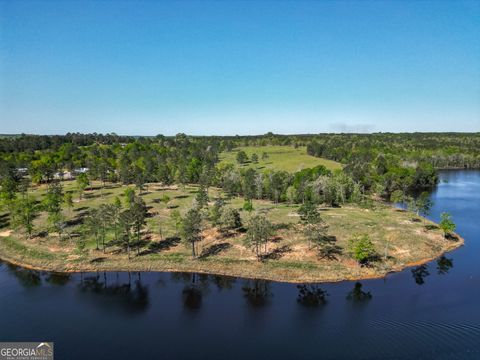 Photo of 1009 Walter Wells Road, Buena Vista, GA 31803 (MLS # 10539459) Photo of 1009 Walter Wells Road, Buena Vista, GA 31803 (MLS # 10539459)