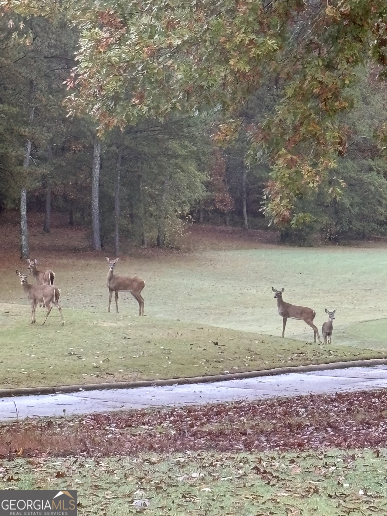 The Georgia Club - Residential