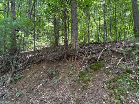 Photo of 0 Mountain View Court, Ellijay, GA 30536 (MLS # 10552993)