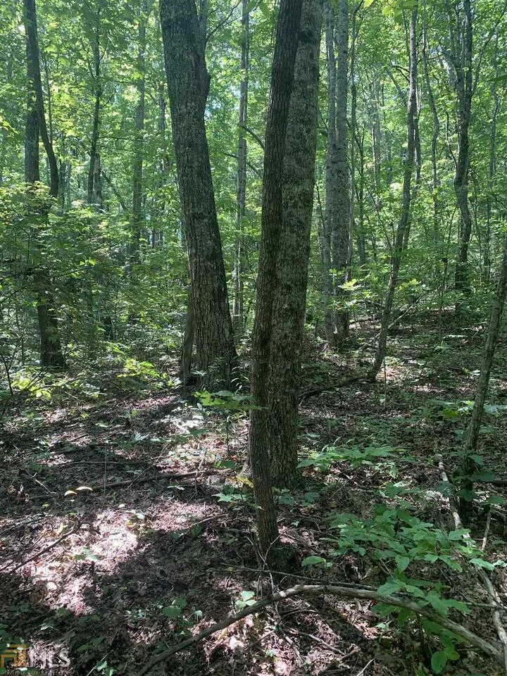 LOT 67 N N Woods Point Unit 3, Sky Valley, GA, 30537