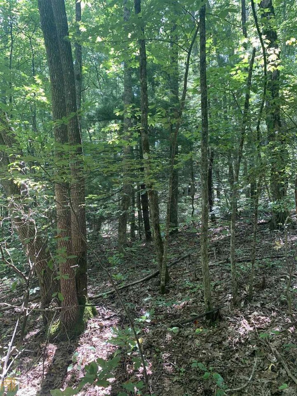 Photo of 67 N N Woods Point #3, Sky Valley, GA 30537 (MLS # 10185725)