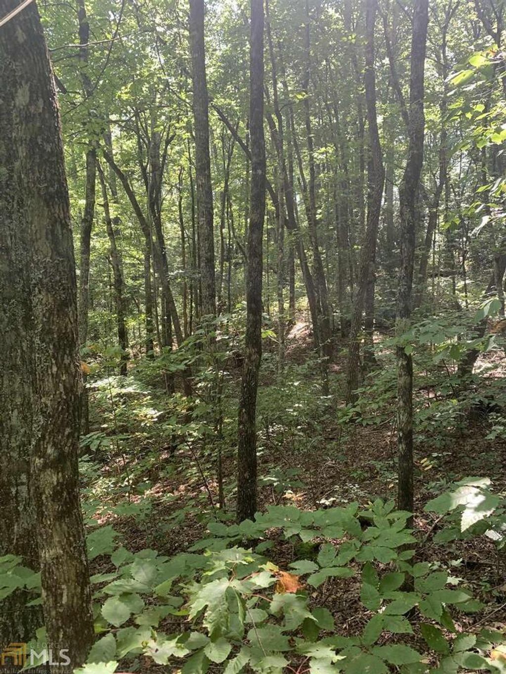 Photo of 67 N N Woods Point #3, Sky Valley, GA 30537 (MLS # 10185725)