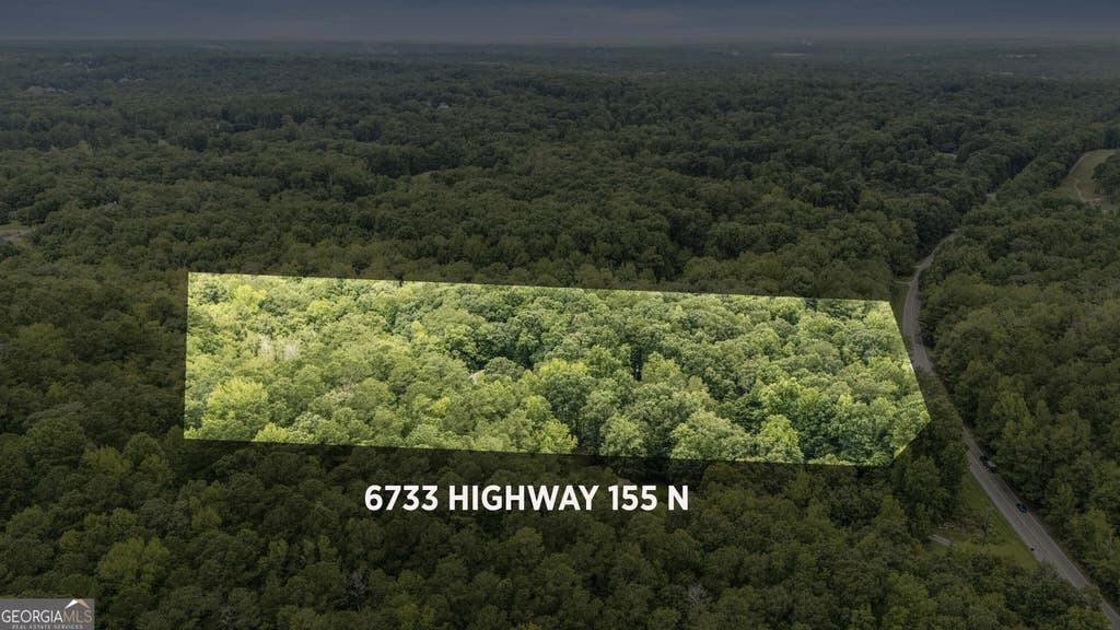 Photo of 6733 Highway 155 N, Stockbridge, GA 30281 (MLS # 10822519)