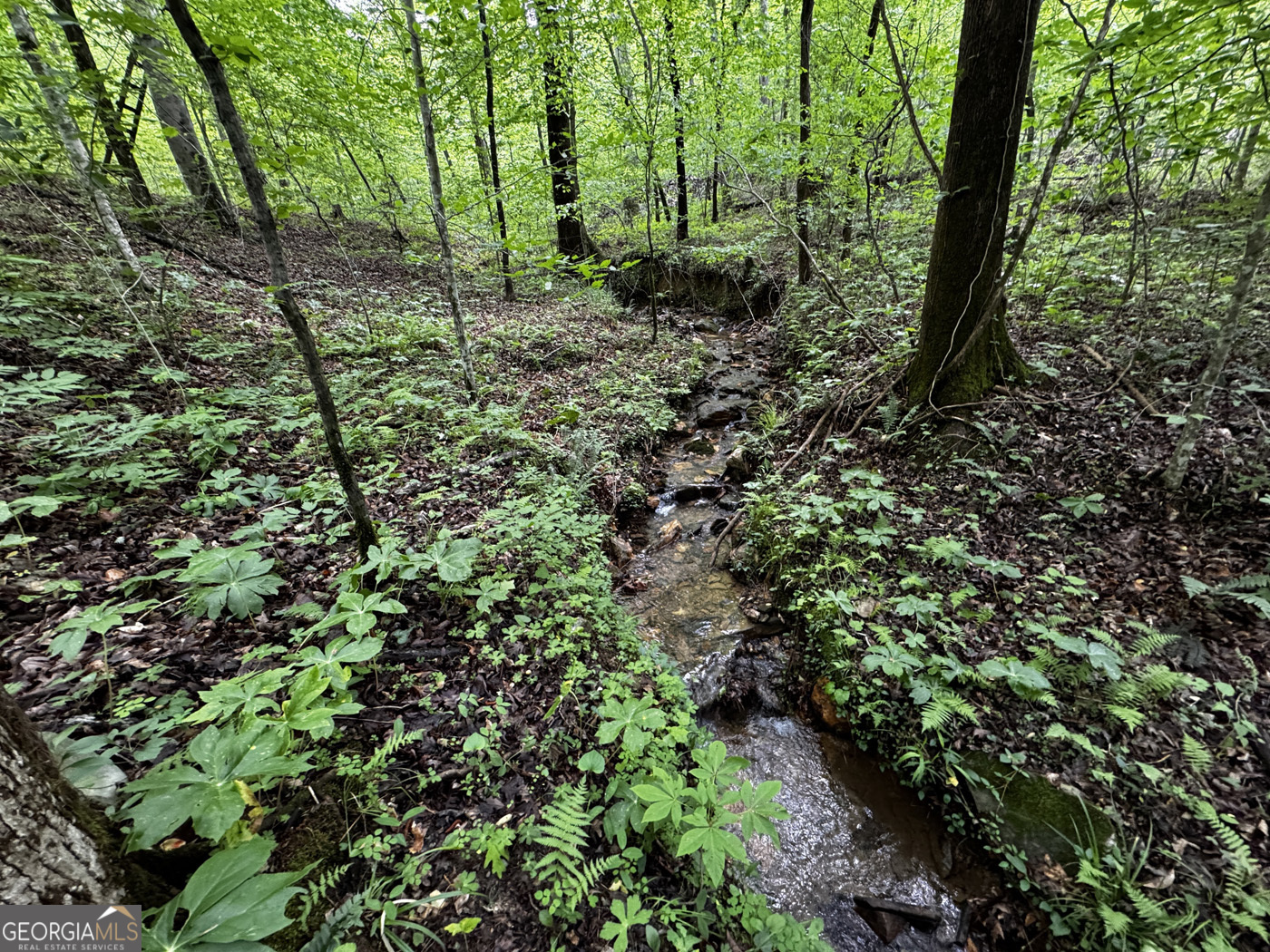 000 Fisher Creek Road