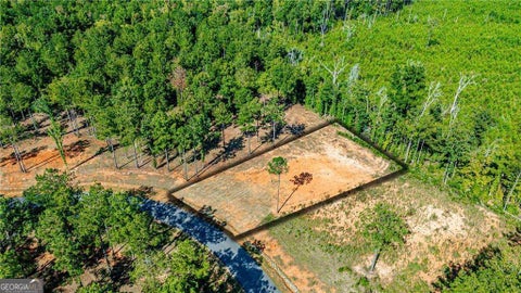 Photo of 147 Falls Lane, Milledgeville, GA 31061 (MLS # 10848222)