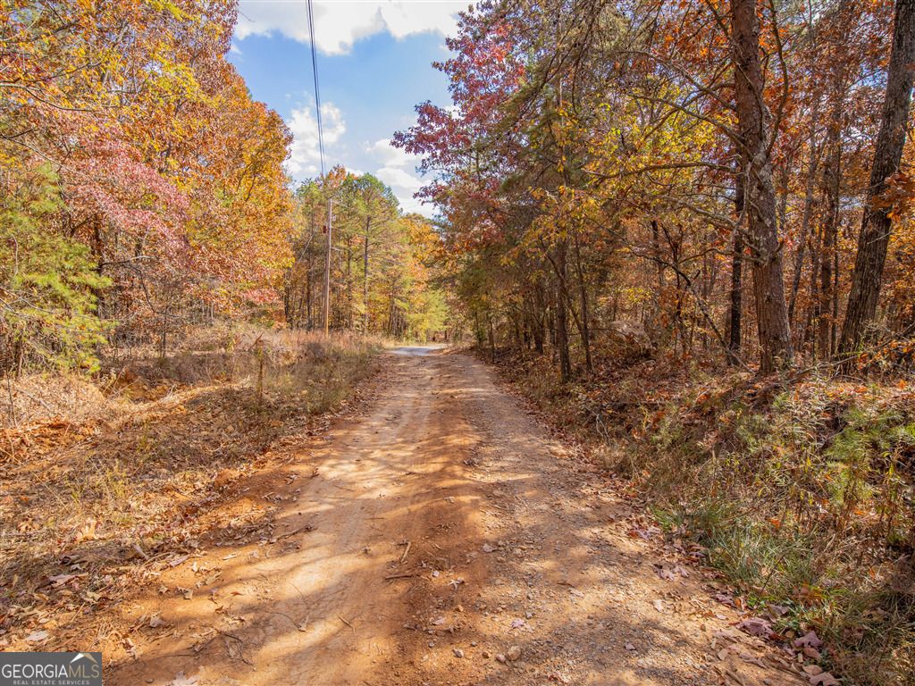 Photo of 0 Galway Drive, Kingston, GA 30145 (MLS # 10650912)