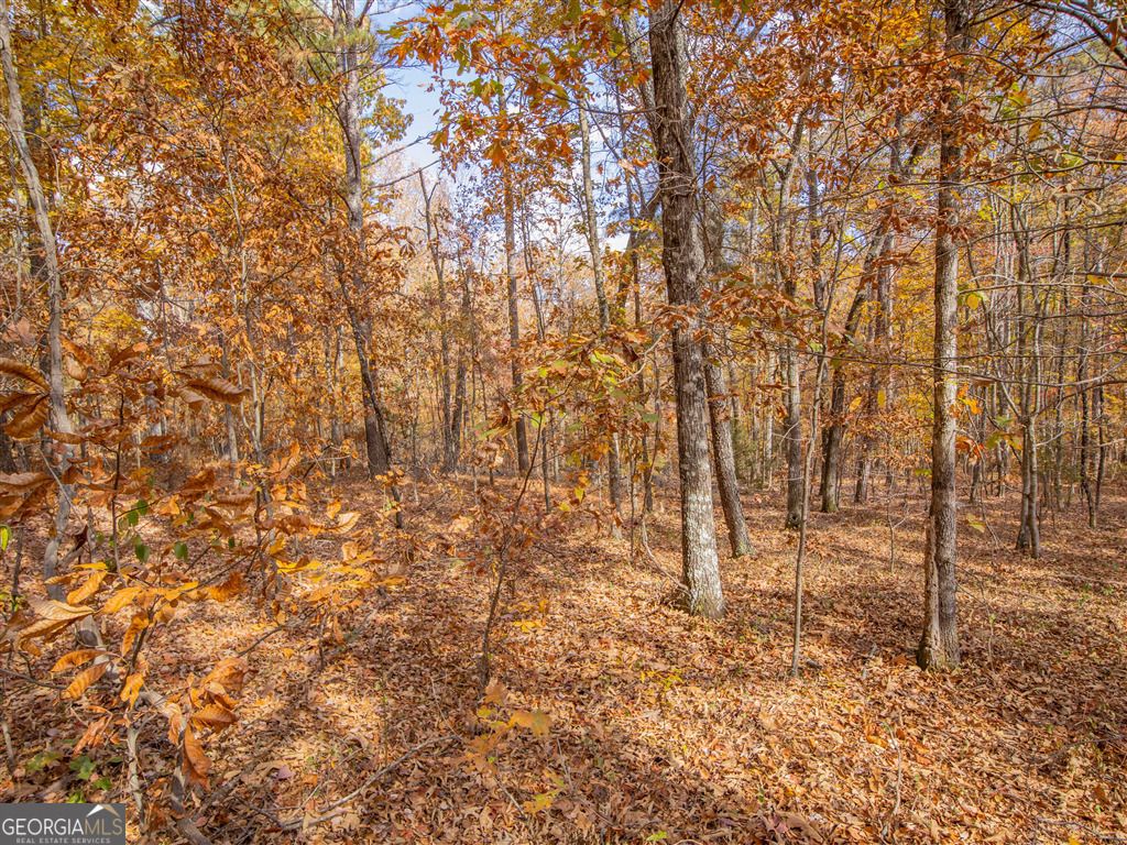 Photo of 0 Galway Drive, Kingston, GA 30145 (MLS # 10650912)