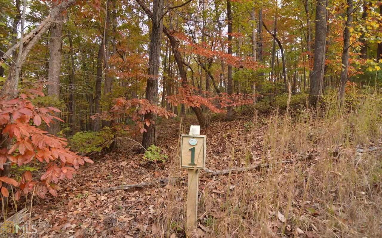 Beautiful gentle wooded home site. Public water, power, and telephone all available, paved roads and professionally landscaped entrance. Private, yet close to town and the Hwy 325 boat ramp to Lake Nottely. Come check out this fabulous subdivision.