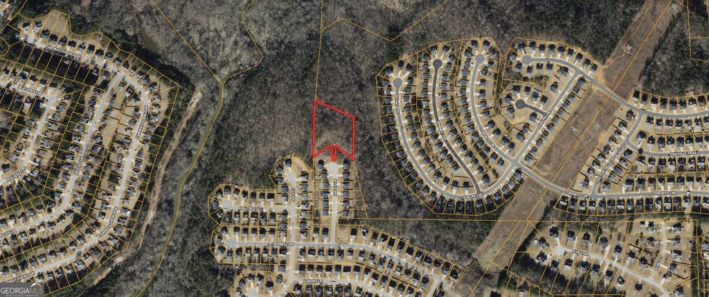 Photo of 0 Haley Lane, Hampton, GA 30228 (MLS # 10708324)