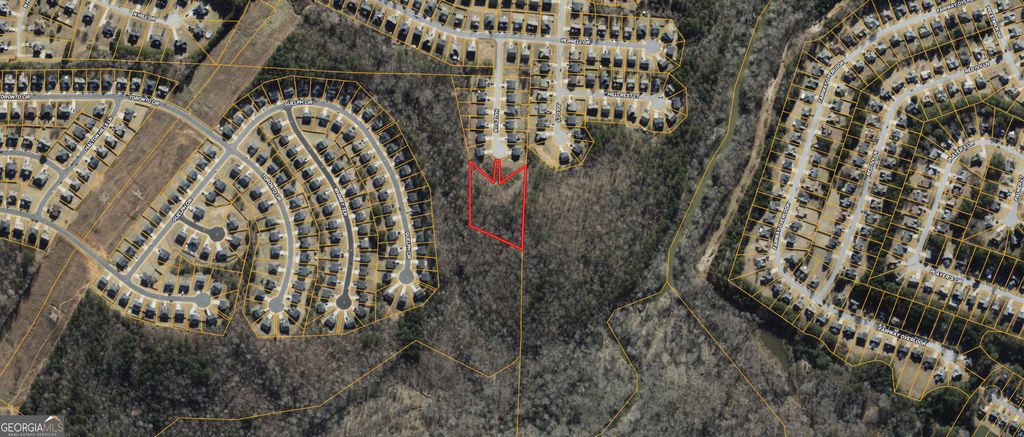 Photo of 0 Haley Lane, Hampton, GA 30228 (MLS # 10708324)