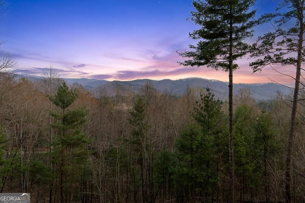 Photo of 272 Laurel Mountain Road, Cherry Log, GA 30522 (MLS # 10722432)