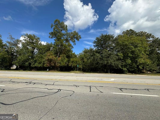 E GOLDEN ISLES HWY, LUMBER CITY, GA 31549 - Image 6a8abf42936e3440d3088abf91ce9921/56544966