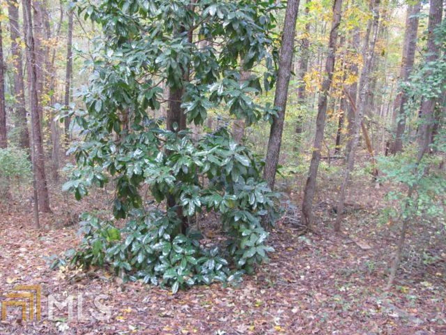 Allatoona Shores - Residential
