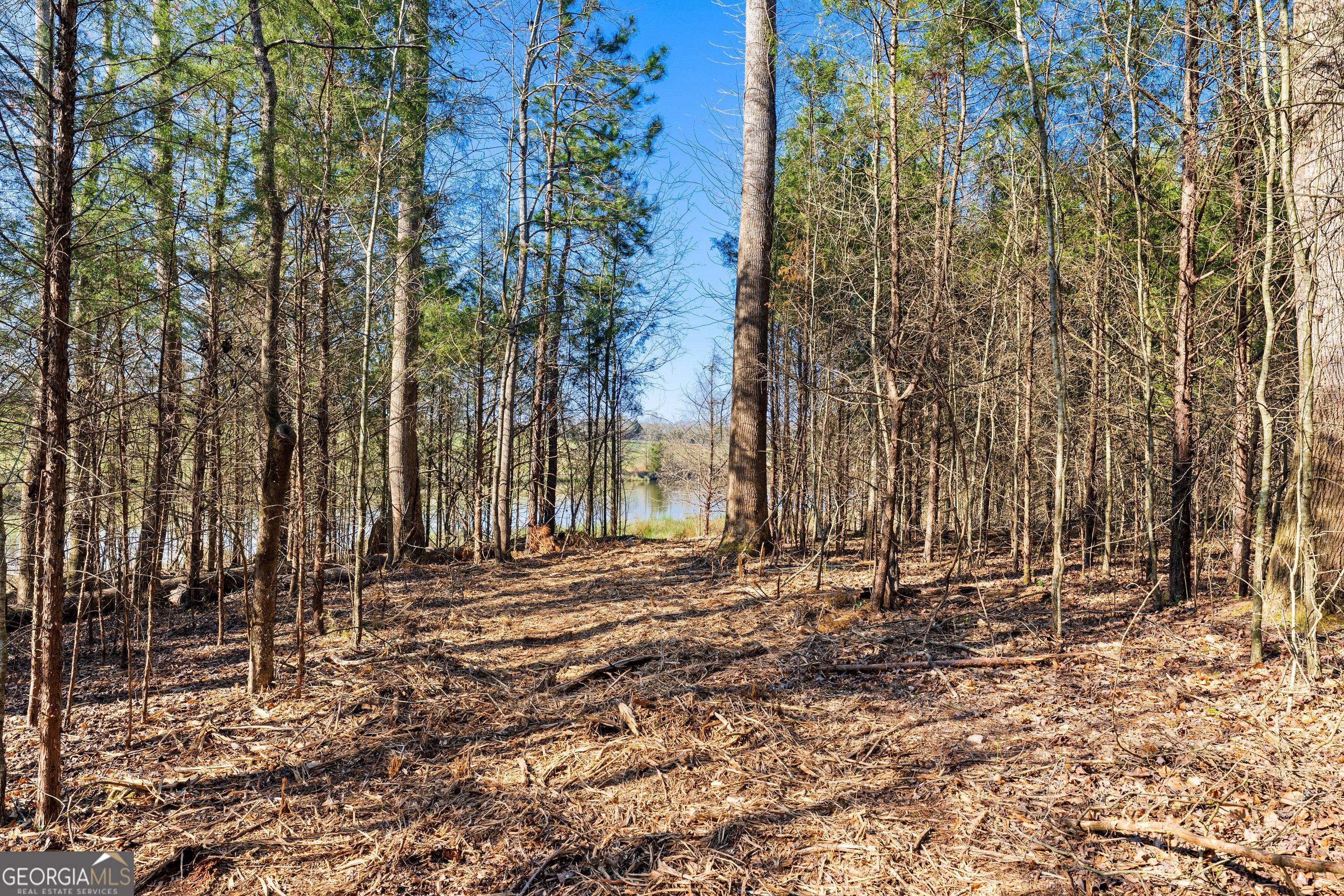 8 Ridgeview Point