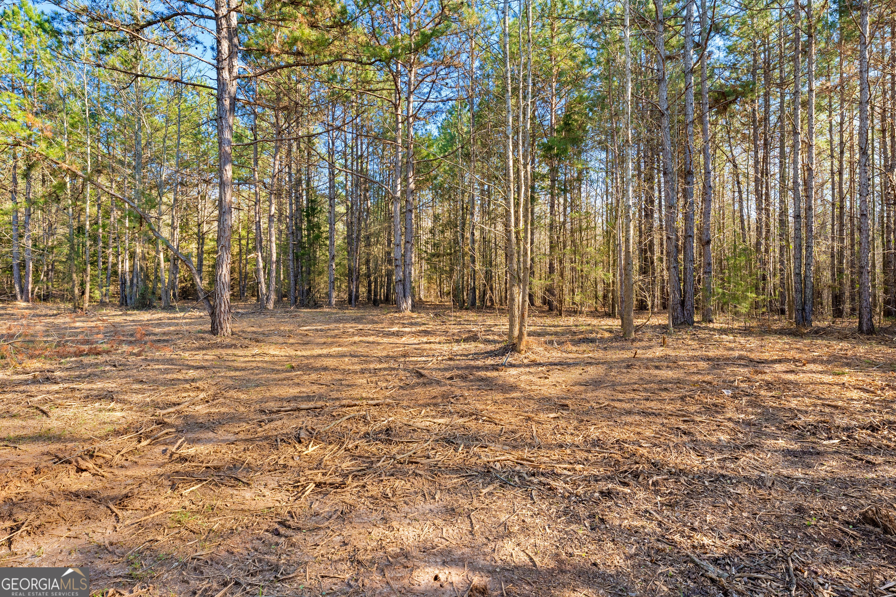 8 Ridgeview Point