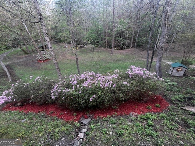 1117 Rambling RD