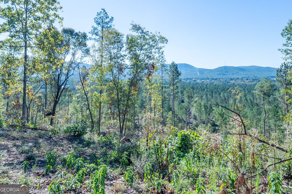 Photo of 3879 HWY 140 NE, Rydal, GA 30171 (MLS # 10632125)