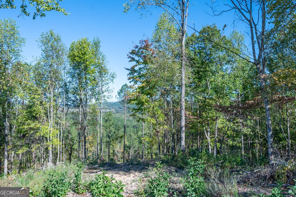 Photo of 3879 HWY 140 NE, Rydal, GA 30171 (MLS # 10632125)