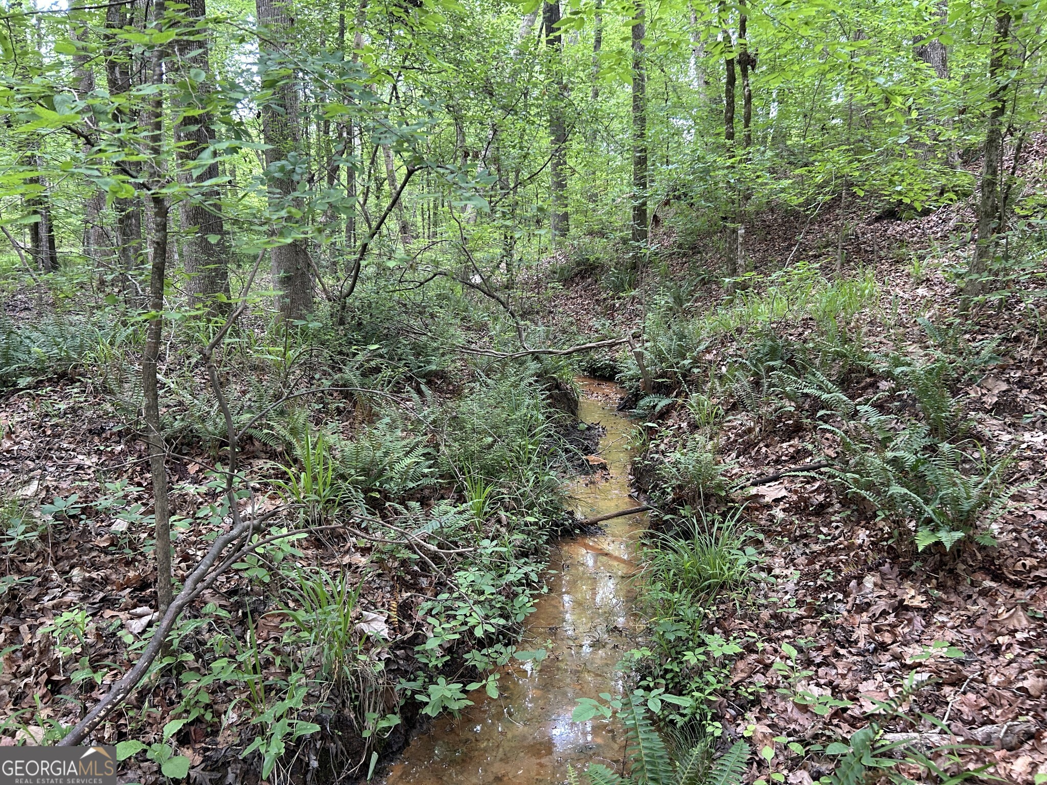 Tucked away in the heart of Georgia's Lake Country, this beautiful, heavily wooded tract offers the perfect setting for a private homesite, peaceful weekend retreat, or future family homestead. Featuring a mix of planted pines, mature hardwoods, and scenic hardwood drains, the land is rich in natural beauty and abundant wildlife-ideal for those seeking tranquility and outdoor enjoyment. Enjoy quiet country living with the convenience of county road frontage and available power and internet service. Whether you're looking to build, explore, or simply relax, this property provides space and flexibility in a serene, rural environment. Recreation opportunities abound-just minutes from Lake Sinclair, only 5 minutes to a nearby U.S. Forest Service lake recreation area, and 10 minutes from Twin Bridges Landing. Spend your days fishing, boating, swimming, hiking, or camping-all within easy reach. Located just 11 minutes from the charming shops and restaurants of downtown Eatonton, and only 22 minutes from Milledgeville and Gray, this property offers a perfect blend of seclusion and access to small-town conveniences. Shopping, dining, and entertainment are never far away, and Atlanta is just a little over an hour's drive. Whether you're looking for a peaceful place to raise a family, a recreational escape, or a long-term investment in a growing area, this tract delivers country living with unmatched potential.