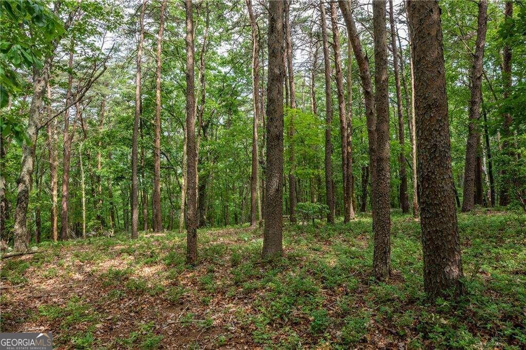 Incredible Opportunity in The Preserve at Sharp Mountain! This 16.85-acre tract is a rare find-encompassing an entire cul-de-sac and boasting over 1,000 feet of paved road frontage. These multiple lots were thoughtfully combined to allow for just one HOA fee, a feature no longer permitted in the community-making this property truly unique. The land itself is breathtaking, with gently rolling, nearly level terrain, scattered with impressive rock outcroppings, natural boulders, and a canopy of mature hardwoods. The undergrowth is exceptionally clean, and Mountain Laurel is sprinkled throughout, adding to the natural beauty. From multiple vantage points, you'll enjoy long-range mountain views offering the perfect backdrop for your dream home or private retreat. Whether you're looking to build a private estate or a family compound, the privacy, size, and topography of this property offer unmatched flexibility. There are additional adjoining lots available that could increase the total acreage to over 22 acres-ideal for even more seclusion or future expansion. Located within the gated community of The Preserve at Sharp Mountain, you'll also enjoy access to multiple nature parks, scenic walking trails, pavilions, a community fireplace, and play areas. This serene mountain neighborhood is just minutes from Hwy 515, downtown Jasper, shopping, and Piedmont Mountainside Hospital. This land must be seen in person to be truly appreciated-photos simply don't do it justice!