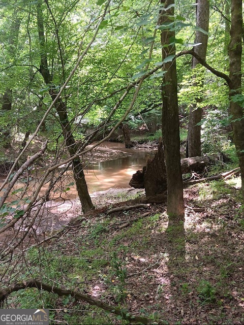 0 Pulliam Mill RD