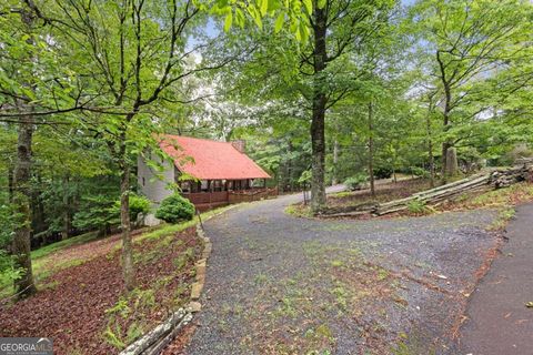 80 Stegall Mill RDG 31 Ellijay GA 30536