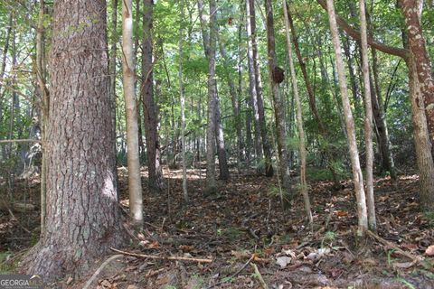 LOT 546 Satsuma North CT Ellijay GA 30540