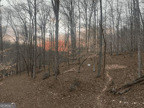 A home in Dahlonega