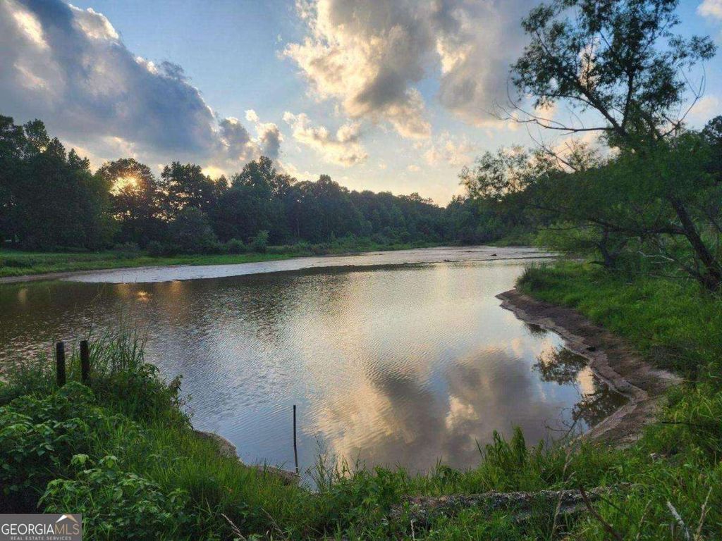 Photo of 120 Bridgemill Drive, Hampton, GA 30228 (MLS # 10724491)