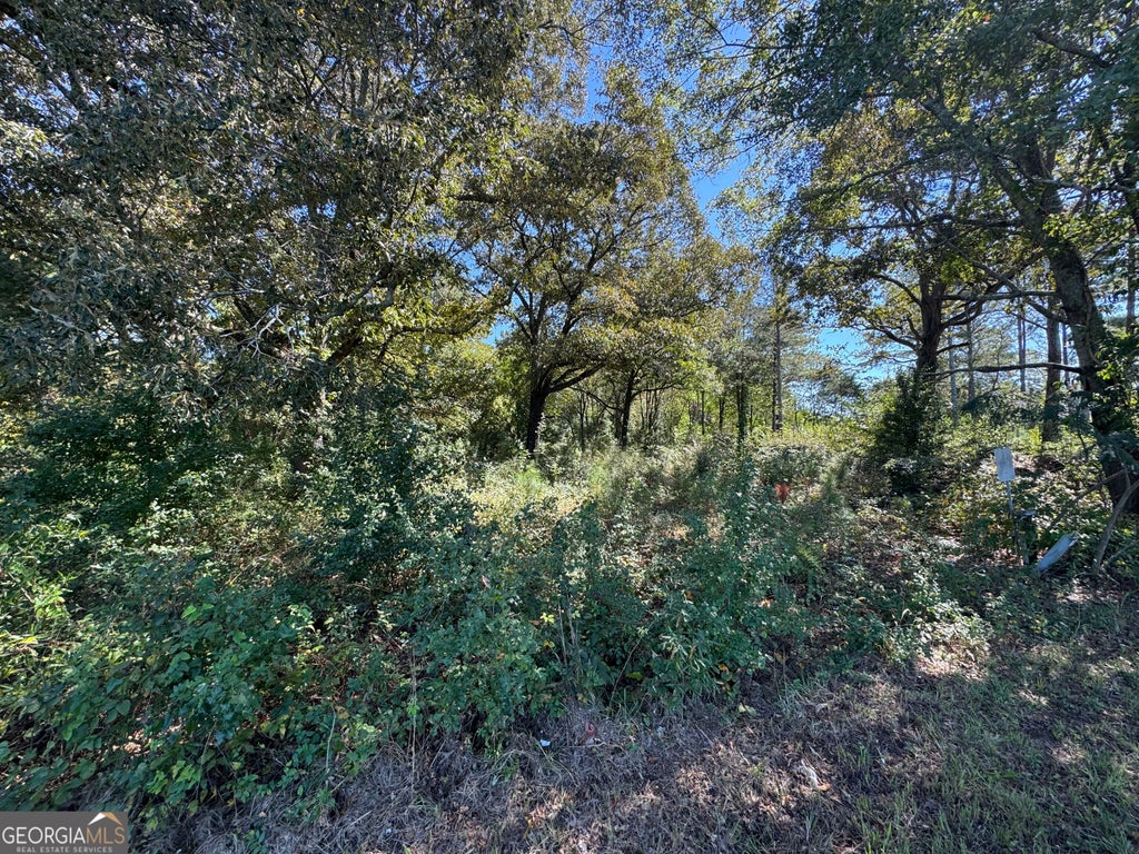 Photo of 2543 Locust Grove Road, Griffin, GA 30223 (MLS # 10868464)