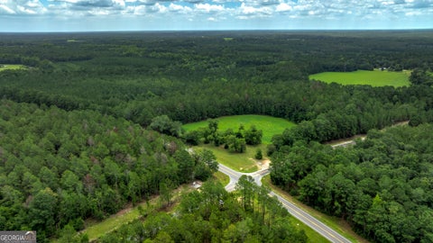 Photo of 0 GA Highway 169, Claxton, GA 30417 (MLS # 10817971)