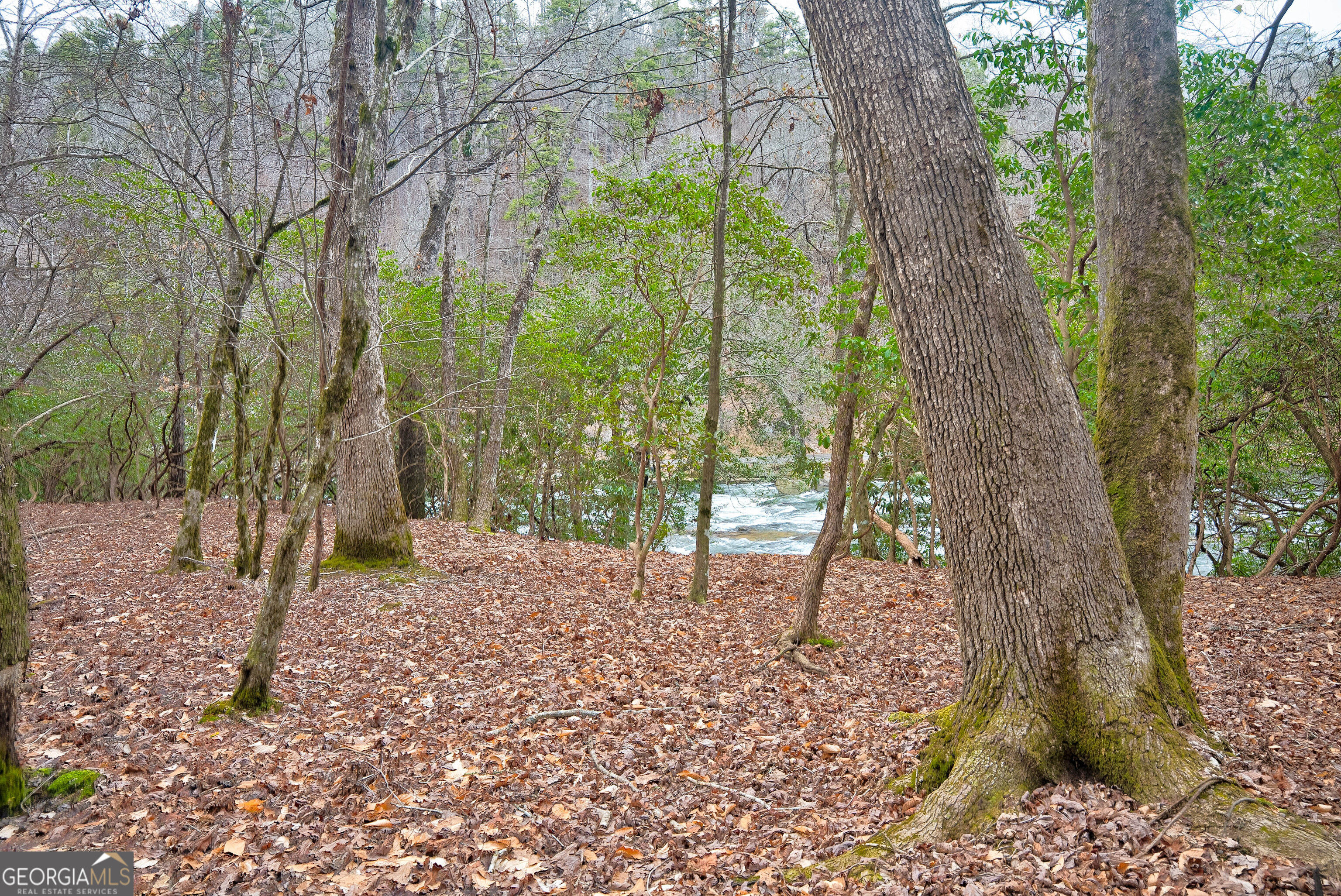 8 ACRES Brunton CIR
