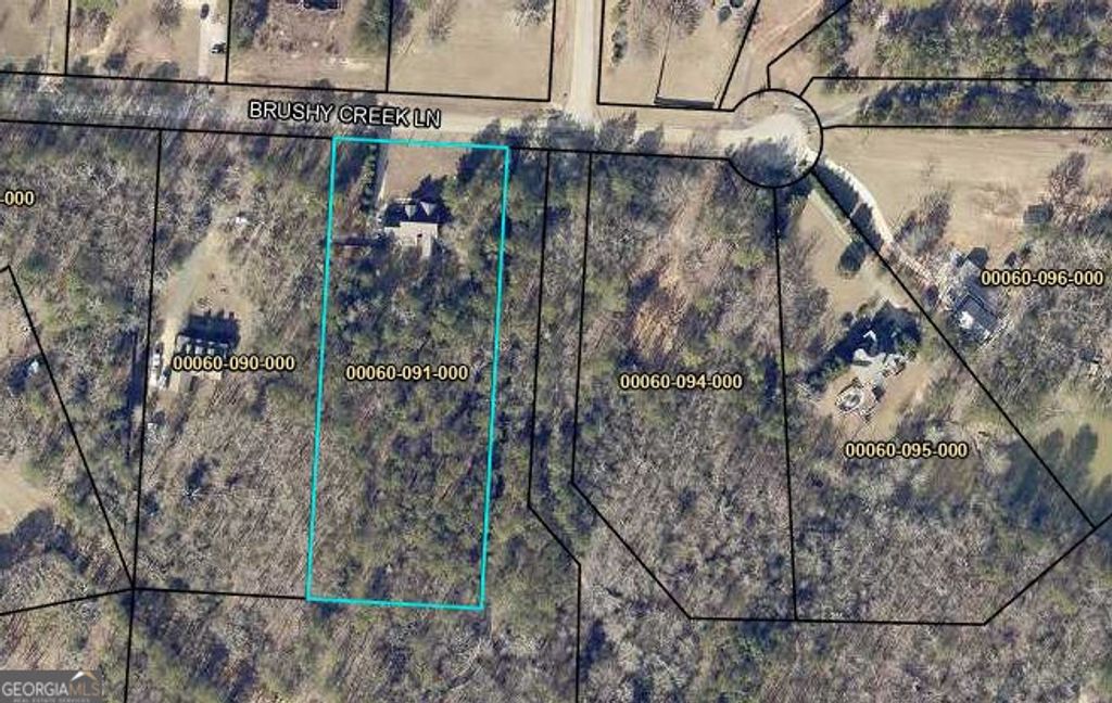 Photo of 114 Brushy Creek Lane, Jackson, GA 30233 (MLS # 10808602)