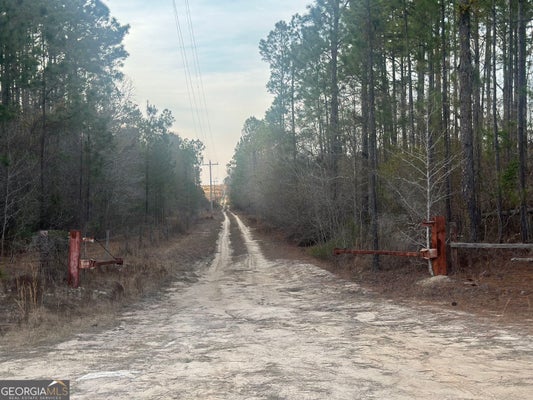 0 AIRPORT, MCRAE-HELENA, GA 31037 - Image 6b24f862f7617c2217b1bf3a5600dfce/984298295