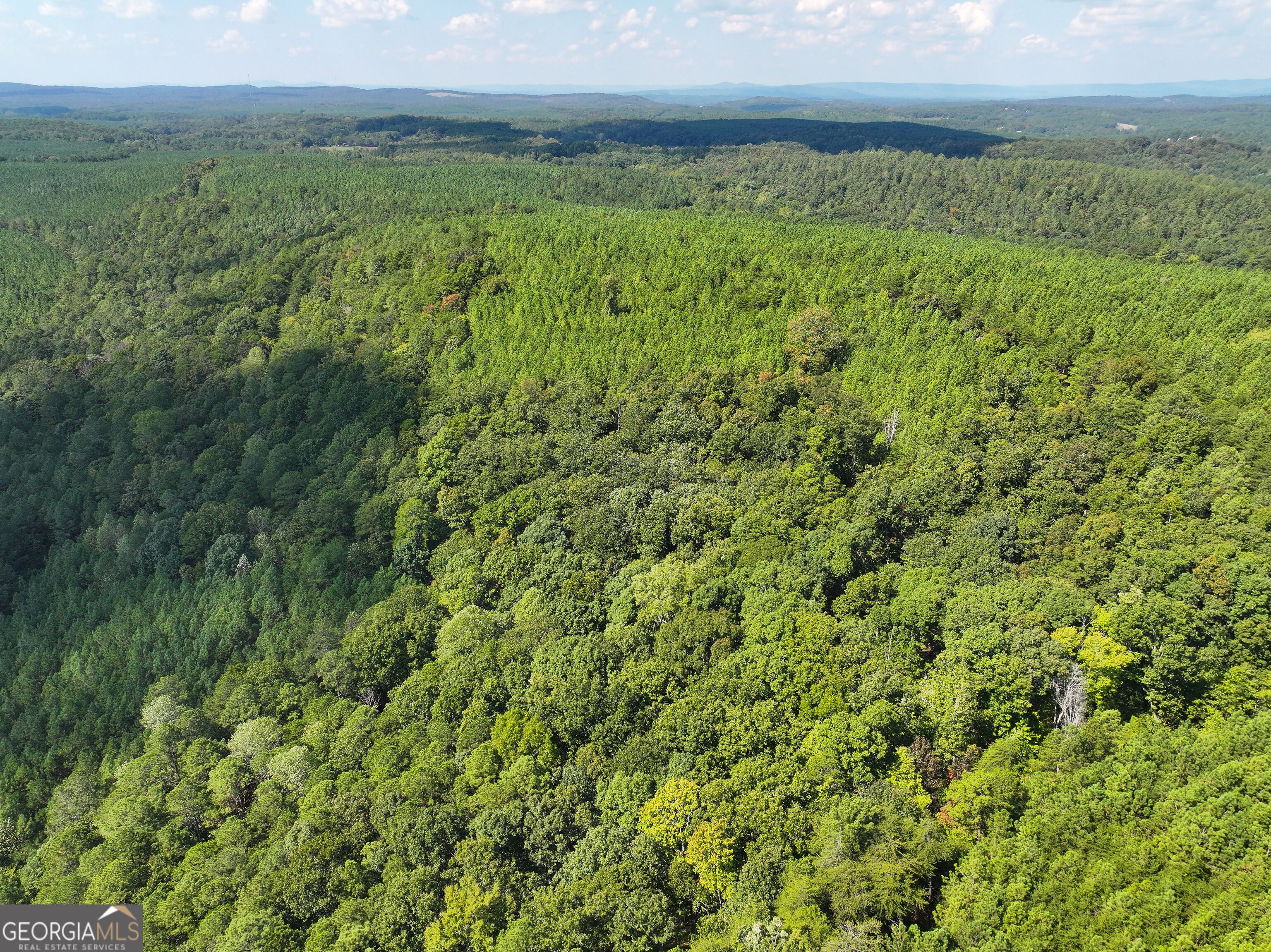 488 +/- Acres on Hall Station Road