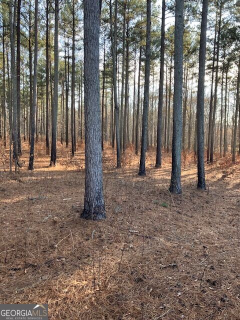 Photo of 280 Woodville Philomath Rd, Rayle, GA 30660 (MLS # 10825232)