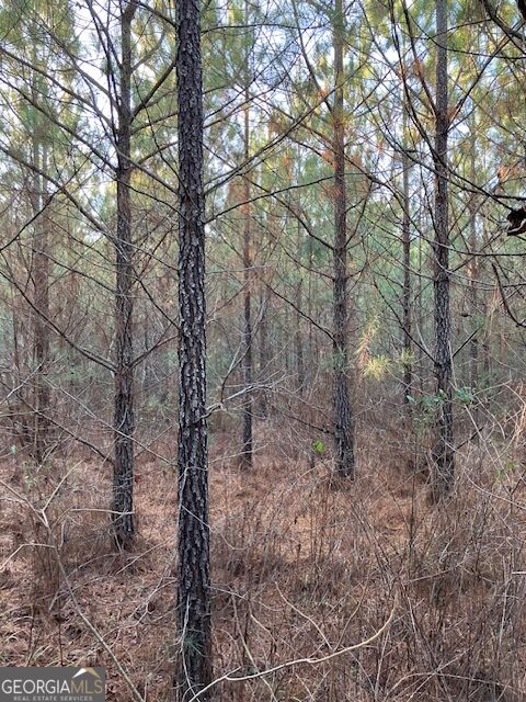 Photo of 280 Woodville Philomath Rd, Rayle, GA 30660 (MLS # 10825232)