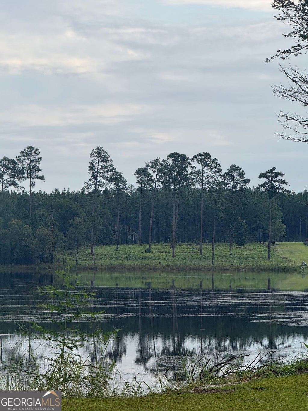 Photo of 118 East Lake Dr, Statesboro, GA 30458 (MLS # 10835716)
