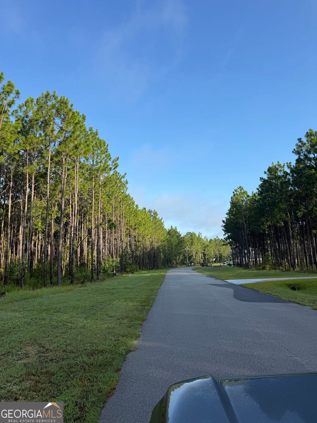 Photo of 118 East Lake Dr, Statesboro, GA 30458 (MLS # 10835716)