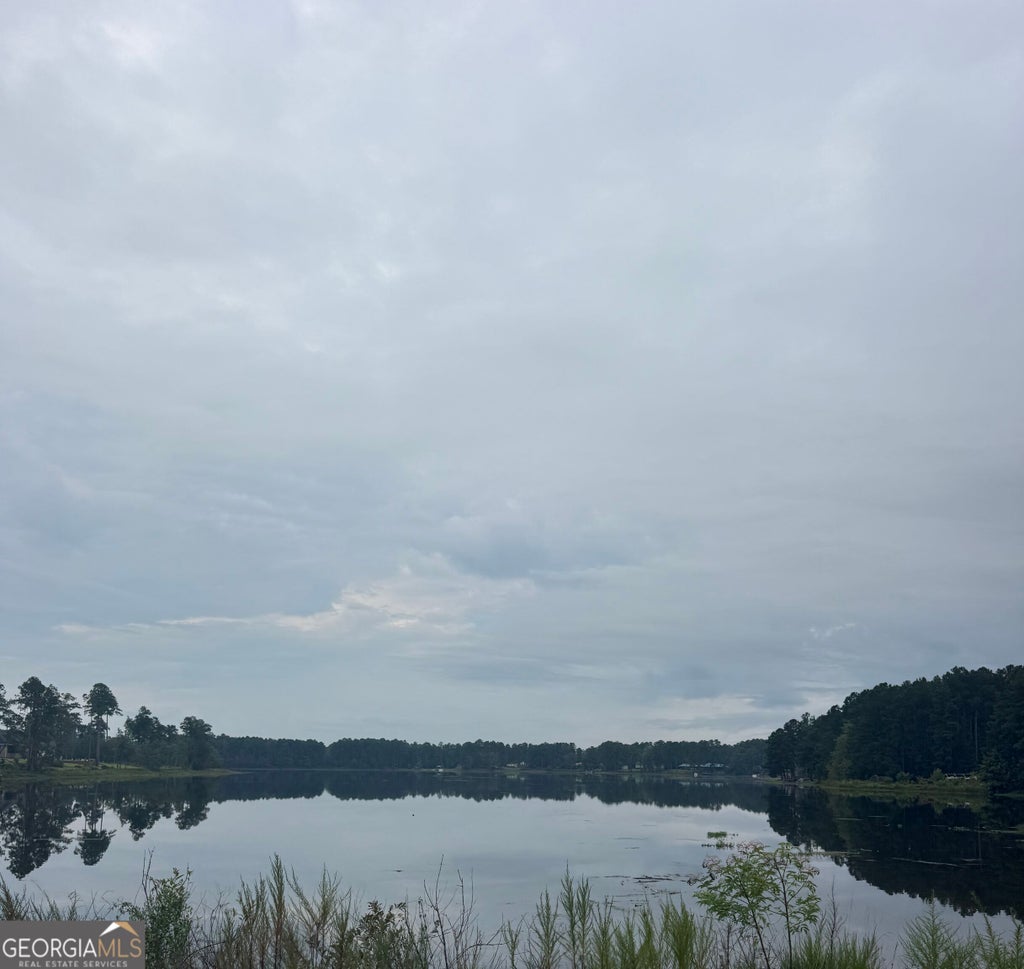Photo of 118 East Lake Dr, Statesboro, GA 30458 (MLS # 10835716)