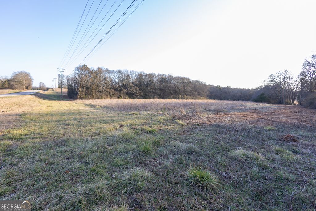 Photo of 0 Bowman Highway, Dewy Rose, GA 30634 (MLS # 10757518)