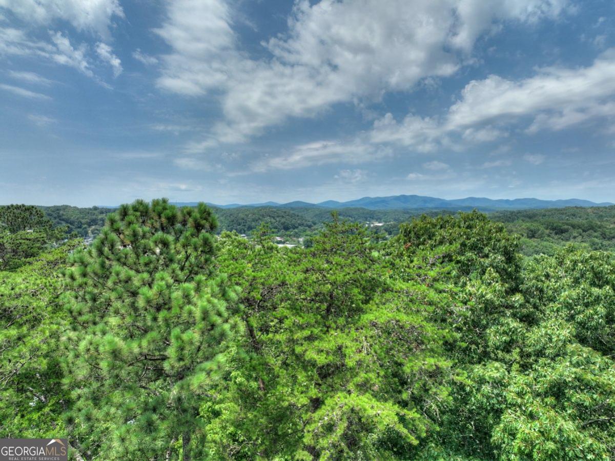LOT 4 Mountain TRCE 4