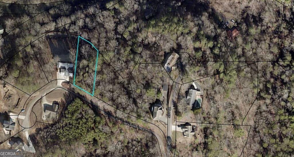 LOT 4 Mountain TRCE 4