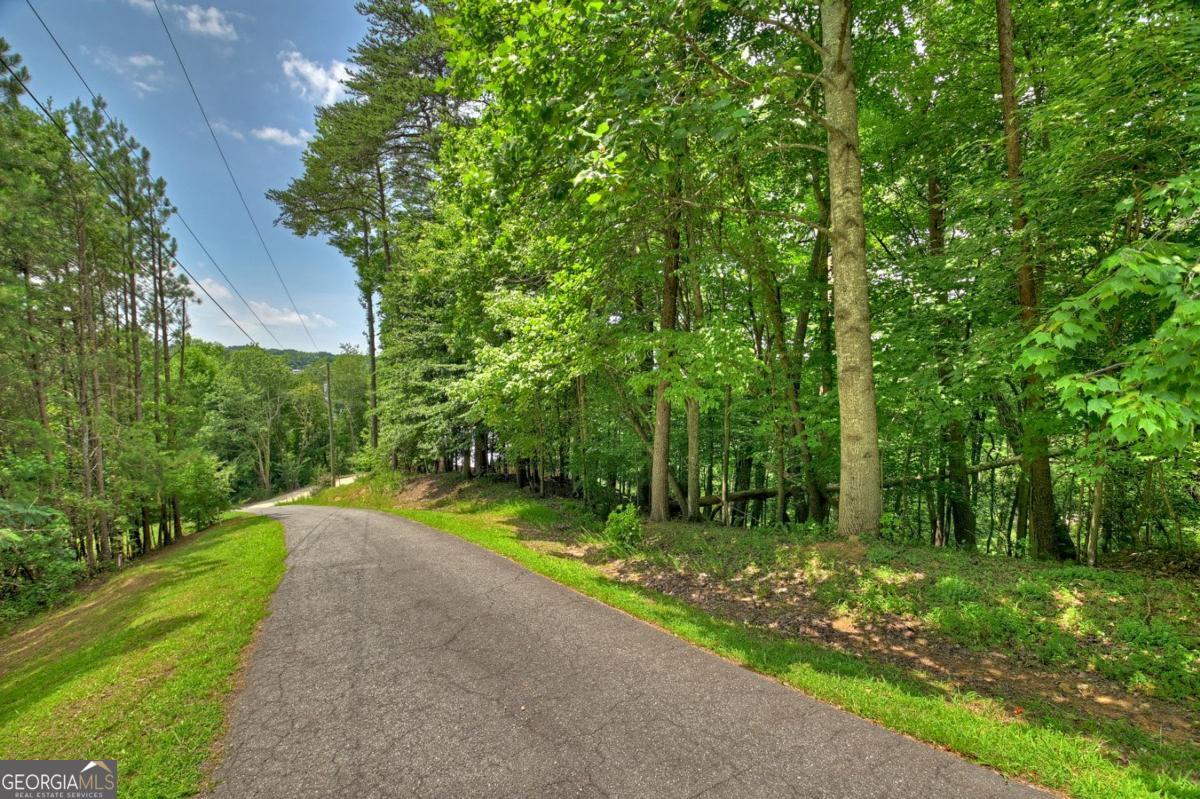 LOT 4 Mountain TRCE 4